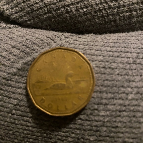 Rare 1989 Elizabeth II Canadian Dollar. This coin is denominated as a dollar. - Picture 3 of 6